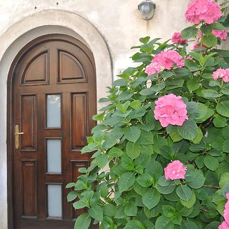 B&B Casa Antonia Trentinara Extérieur photo