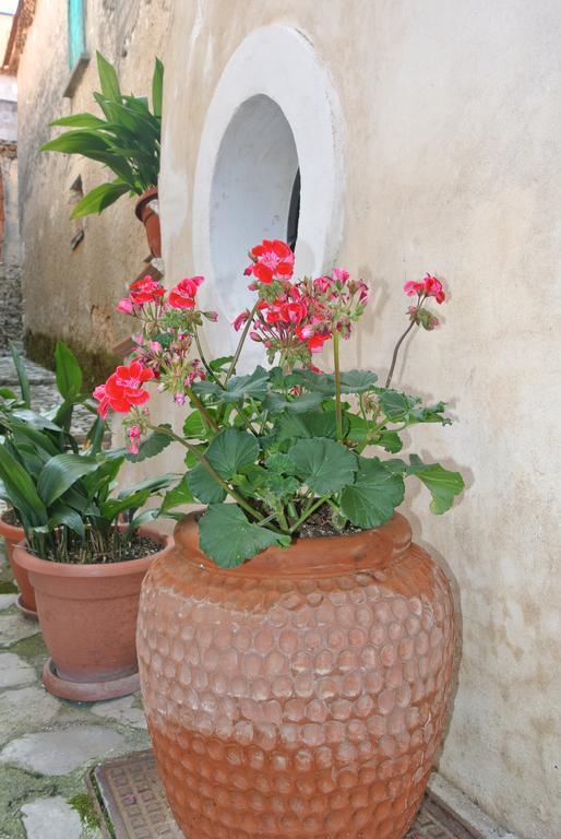 B&B Casa Antonia Trentinara Extérieur photo