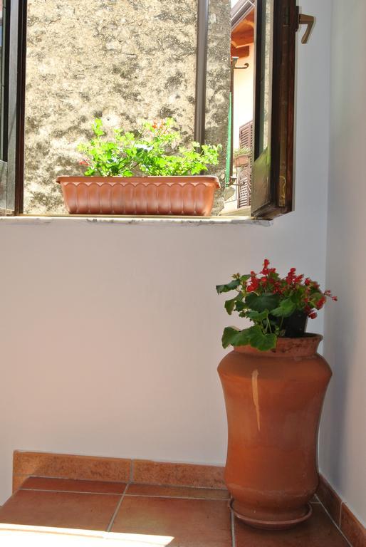 B&B Casa Antonia Trentinara Extérieur photo