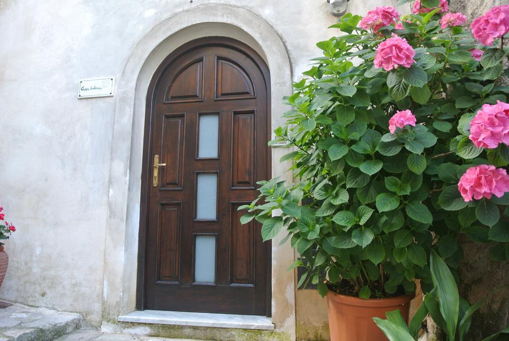 B&B Casa Antonia Trentinara Extérieur photo